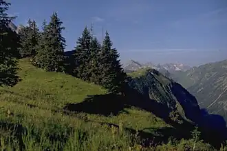 Blick vom Habaum nach Südwesten ins hintere Rappenalptal