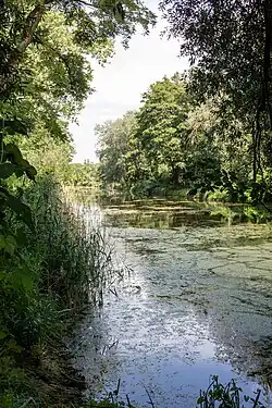 Blick auf den Stichkanal am Golmer Luch, der in den Großen Zernsee entwässert