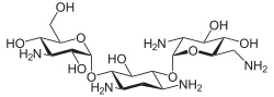 Struktur von Kanamycin B