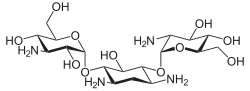 Struktur von Kanamycin C