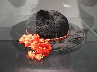 Winter-Saturno eines Kardinals