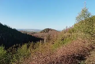 Blick von Süden auf den Kapitelsberg