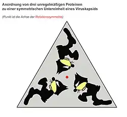 Drei asymmetrische, aber identische Objekte (symbolisiert durch Kater Felix) bilden ein Trimer mit dreizähliger Rotationssymmetrie.