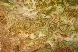 Durch Erosion abgeschliffene Stalaktiten, deren Querschnitt zeigend