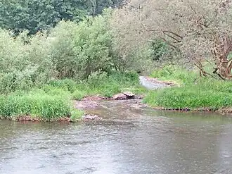 Mündung der Katza in die Werra.