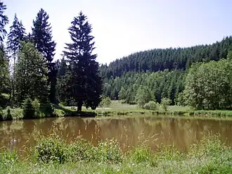 Blick über den Teich
