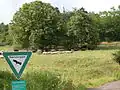 Teilweise von Schafen beweidetes Naturschutzgebiet. Der Holzzaun hinter den Schafen begrenzt den Friedhof