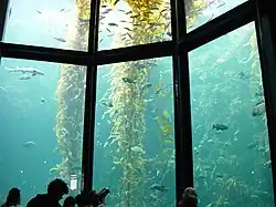 Tangwald­aquarium