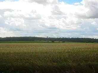 Blick auf den Karnickelberg