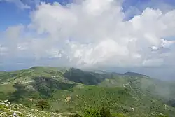 Vor dem Waldbrand …