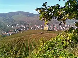 Ausblick zur Yburg