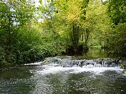 Einige der zahlreichen&nbsp;…