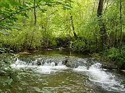 …&nbsp;der Kessach.