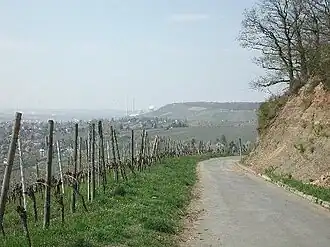 Keuperweg bei Heilbronn – ein geologischer Lehrpfad