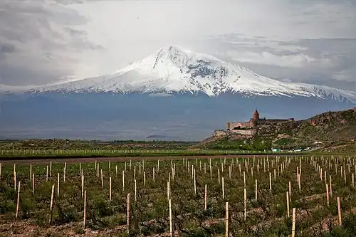 Blick über Chor Virap (Armenien) zum Ararat