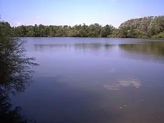 Der an Elmschenhagen angrenzende Tröndelsee, fotografiert in Richtung Westen, links im Bild ist noch die Spitze des Kieler Fernmeldeturms zu erkennen (Aufnahme August 2009)