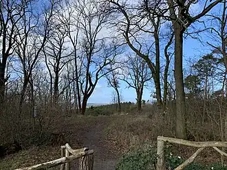 Kirchberg in Neu Fahrland