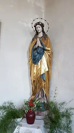 Immaculata