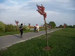 Kirschenhain bei der Jedleseer Brücke