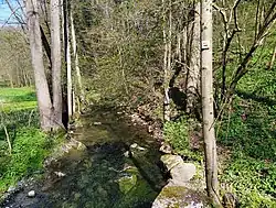 Der Klöpferbach bei Unterschöntal