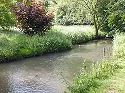 Im Röthaer Schlosspark