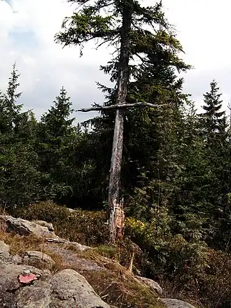 Improvisiertes Gipfelkreuz am Klausenstein