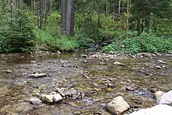 Mündung der Kleinen in die Große Bockau (vorn)