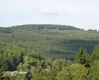 Blick vom Bähnchen zur Kleinen Rausche