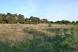 Kleiner Rotböhl (2017)