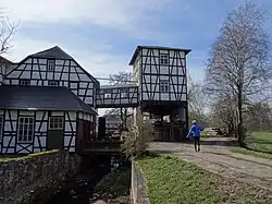 Venezianer Sägegatter