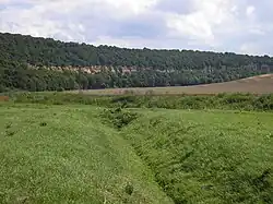 Klippen an der Unstrut zwischen Memleben und Wangen