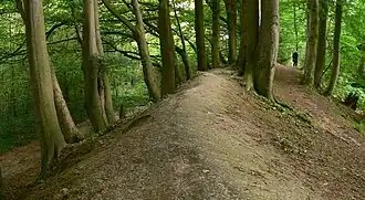 Ringwallanlage Heiligenberg