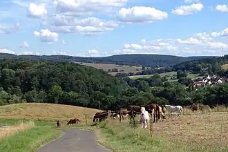 Vorne links von der Mitte des Bildes befindet sich der Steinkopf