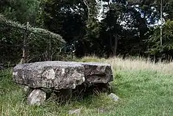 Steinkiste von Knockmaree