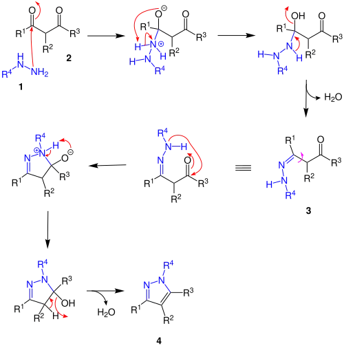 Reaktionsmechanismus
