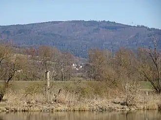 Ansicht von Südwesten her aus der Donauebene. Im Vordergrund die Donau bei Irling (Gemeinde Pfatter).