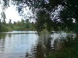 Mündung in den Neckarkanal