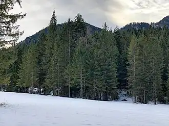 Kogelberg von Norden