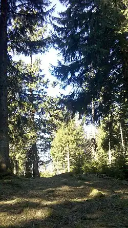 Gipfel des Kogelkopfs