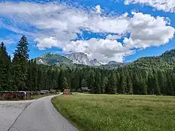 Blick aus Bereich 3 nach Südosten; Bereich 2 bewaldet, mittig sonnenbeschienen die Kohlermauer, dahinter aufgragend Kl. u. Gr. Griesstein, Ebenstein, Schaufelwand.