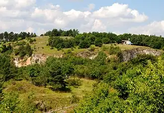 Zlatý kůň von Süden