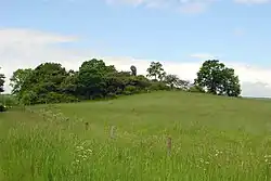 Die Kopfsteine westlich von Fürstenwald