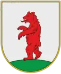 Wappen von Kostryna