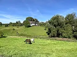 Pferdeweide südlich Kotthausen