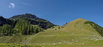 Kotzen von der Kotzenalm