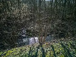 Mündung in den Schüttelgraben