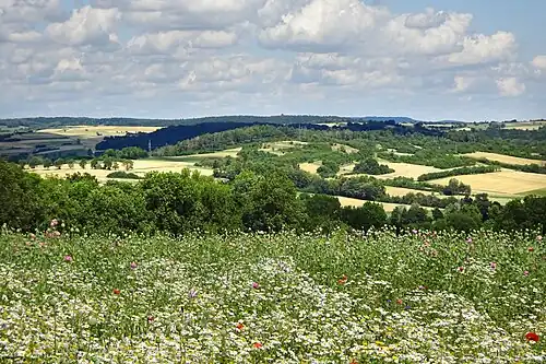 Südwestliche Ansicht des Krösselbergs
