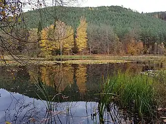 Kaletschkopf im Hintergrund, im Vordergrund der Kranzwoog