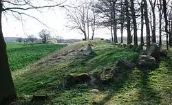 Das südliche Langbett auf dem Ruserberg