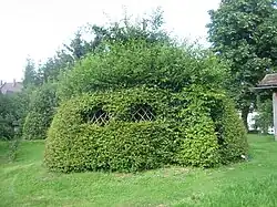 Lebende Laube in Bad Grönenbach